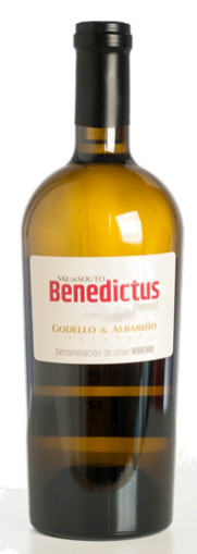 Picture of BENEDICTUS GODELLO/ALBARIÑO